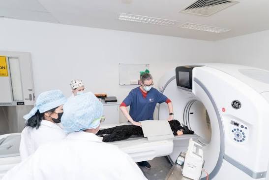 Diagnostic Imaging - The University of Sydney