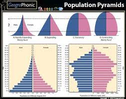 This Is A Quiz Called Population Pyramids Matching Game And Was Created By Member Geographonic Teaching Geography Pyramids Ap Human Geography
