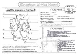 Gcse Biology Heart Structure Worksheet Pack Biology Worksheet Heart Structure Biology Revision