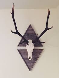 European Mount Elk Antlers Decor Deer Mount Decor Deer Antler Decor