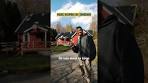 Huizen kopen in zweden is next level leuk - YouTube