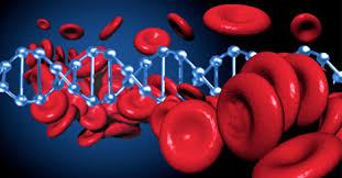 Blood cancer information including symptoms, diagnosis, treatment, causes, videos, forums, and local community support. Blood Cancer Causes Risk Factors Effects Survival Chances