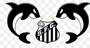 Missing variation of current logo. Santos Fc Ct Rei Pele Esporte Clube Vitoria Meninos Da Vila Unidade Ponta Da Praia Ii Santos Cat Like Mammal Sport Logo Png Pngwing