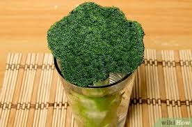 Brokkoli, auch broccoli geschrieben, ist eng mit dem blumenkohl verwandt. Brokkoli Frisch Halten Wikihow