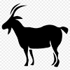 Maybe you would like to learn more about one of these? Https Encrypted Tbn0 Gstatic Com Images Q Tbn And9gctvi3kd0iccela1dvnngqhdfx 1ntrqluojnczmklybzncgc5hr Usqp Cau
