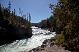 Sightseeing tours · top attraction tickets · easy price comparison Upper Falls Of The Yellowstone Video Yellowstone National Park Yellowstone Up Close And Personal