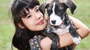 Cairns sport: TAS swimming star's Junior Pan Pac dreams put