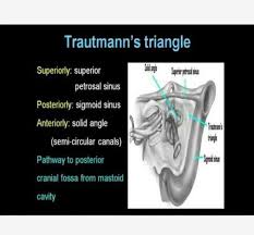 However, reports on the morphometric analysis of this structure are lacking in the literature. Trautmanns Triangle