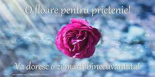 O zi de vineri frumoasa! O Floare Pentru Prietenie Va Doresc O Zi De Marti Binecuvantata Mesajeurarifelicitari Com