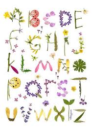 Flower Alphabet Herbarium Decor Botanical Wall Art Flower Poster Pressed Flower Illustration Nursery Art Print Pastel Kid Room Decor Herbarium Flow