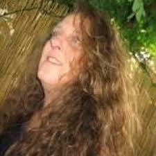 Can someone help rescue baby possum we found in street.