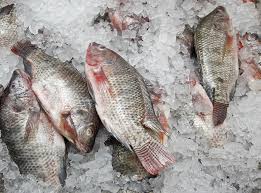 Either microwave or a simple oven bake. Tips For Cooking Frozen Fish