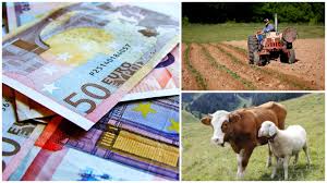 Află tot ce se întâmplă de la un capăt la altul al evenimentului. Ultima OrÄƒ De La Apia Calendarul PlÄƒÈ›ilor Pentru Fermieri