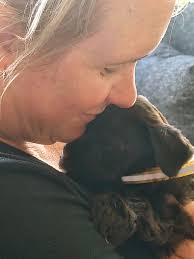 Can you make my pups face easier to see? Mahalo 🌺