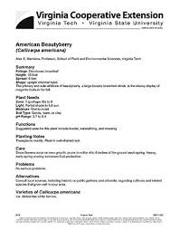 Zones us, ms, ls, cs, ts; American Beautyberry Callicarpa Americana Vce Publications Virginia Tech