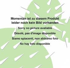 Image result for Cyclantheropsis parviflora