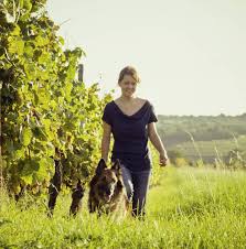 Urlaub mit hund im familienhotel. Urlaub Mit Hund Im Hotel Www Biohotels Info Bio Hotels