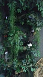 1920 x 1200 jpeg 287 кб. Luxury Cat Trees Fantasy Cat Trees That Look Like Trees
