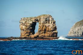 Darwin's arch, off the coast of the galapagos islands, has collapsed due to erosion. Darwin S Arch