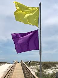 This is the highest warning level. Purple Is An Important Color In The Beach Flag Warning System Leave Only Footprints