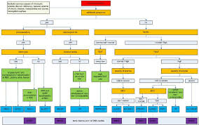 Diagnostic Flowchart For Microcytic Anemias Caused By