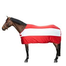 06:59 en opnieuw was er een kortstondige gele vlag. Hkm Zweetdeken Flags Vlag Oostenrijk Agradi Nl