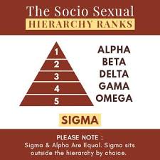 From Alpha To Omega: What Is Your Socio Sexual Hierarchy Rank? | by The  Minds Journal | Medium
