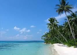 The fine art of basket weaving in the philippines has developed intricate designs and forms directed for specific purposes such as harvesting, rice storage, travel package, sword case, and so on. Remote Island Getaways Audley Travel