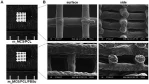 Yan lee has disabled new messages. Characterization And Osteogenic Evaluation Of Mesoporous Magnesium Calcium Silicate Polycaprolactone Polybutylene Succinate Composite Scaffolds Fabricated By Rapid Prototyping Rsc Advances X Mol