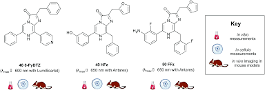 The application of biotechnology in the production of food contributes towards making people enjoy good health. Applications Of Bioluminescence In Biotechnology And Beyond Chemical Society Reviews Rsc Publishing