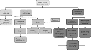 When your cat has this disease, it's important to recognize and understand the end stages, and to know what choices to make for your cat's sake. Gastric Cancer Esmo Esso Estro Clinical Practice Guidelines For Diagnosis Treatment And Follow Up Annals Of Oncology