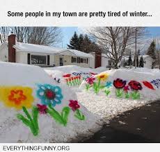 Everything Funny Spray Paint Flowers Cool Pictures Winter
