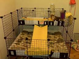 Jun 24, 2020 · this is absolutely critical, because if their cage is too small, fights and bigotry are inevitable. Pin On Rabbit Cage