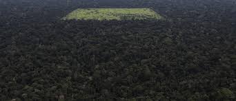 See all amazon rainforest tours q: The Amazon Is Reaching A Dangerous Tipping Point We Need To Scale Solutions Now If We Have Any Chance Of Saving It World Economic Forum