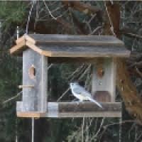 Three years have passed since i shared the $5 diy bird feeder pole that i made for our backyard deck. Free Bird Feeder Plans