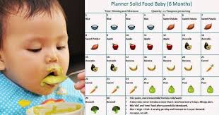 Selain itu, membuat jadwal makan mpasi bayi 6 bulan juga membiasakan orangtua untuk memberikan. Anak 6 Bulan Belajar Makan Cuba Buat Jadual Pemakanan Baru Tahu Serasi Atau Tak Pa Ma