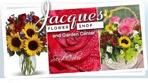 Rich announced the jacques flower show christmas flower giveaway. Couptopia Best Daily Deals In Nh