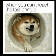 Lol Laugh Out Loud Memes Youtube Twitch 9gag Pewdiepie Pokimane Memelords Funny Animal Memes Funny Food Memes Funny Relatable Memes