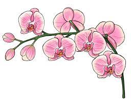 Pin On Sketchbook Blog