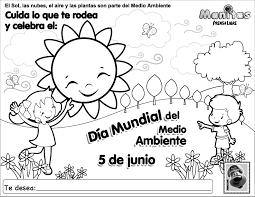 Conclusión - escayer