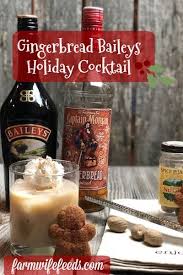 Explore thousands of wines, spirits and beers, and shop online for delivery or pickup in a store near you. Gingerbread Baileys Holiday Cocktail From Farmwife Feeds Is A Festive Seasonal Cocktail Made Wit Spiced Rum Recipes Baileys Holiday Christmas Cocktails Recipes