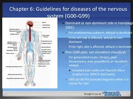 Icd 10 Essentials Webinar Kathy Mills Chang Mcs P