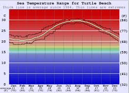 Florida Just Had The Hottest Recorded Ocean Temperature. Here'S What That  Means For The Environment