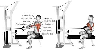 Comment Effectuer Le Tirage Verticales A La Poulie Musculation Pour Debutant Musculation Musculation Dos