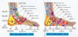 Cara mudah belajar urutan refleksologi kaki di brace men spa rompin. Urutan Kesihatan Pada Family Reflexology Semenyih Facebook