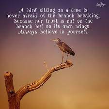 Pin On Motivation