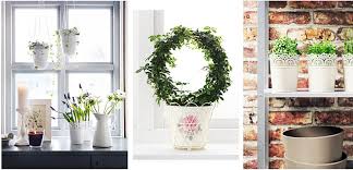 Hal anu paling hese teu diragukeun lain pilihan warna tapi konservasi sabab sakumaha waktosna pariuk liat tiasa buruk. Pekebun Ikea Pikeun Pakean Pepelakan Jero Rohangan Anjeun Ngahias