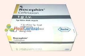 Thuốc Khang Sinh Rocephin 1g được Sử Dụng Trong điều Trị Một Số Bệnh Như Nhiễm Trung Huyết Nhiễm Khẩn đường Tiết Niệu Nhiễm Trung đường H Hoa Sinh Huyết Tương