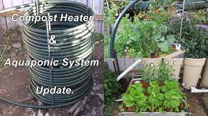 Aquaponic Compost Heater Update Water Temp S For Jade Silver Perch Ap Update July 2015 Youtube