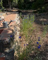 Bianca Elliott (@soullowellness) • Instagram photos and videos